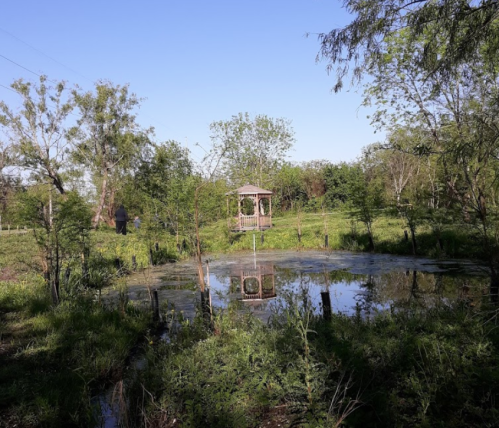 A serene pond surrounded by greenery, with a gazebo in the background and a person walking nearby.