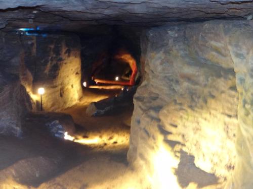 A dimly lit cave interior with rocky walls and a winding path illuminated by soft lights.
