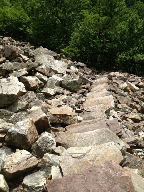 A rocky landscape with large boulders and scattered stones, surrounded by green trees in the background.