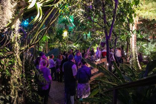 A vibrant indoor garden filled with people mingling among lush greenery and colorful lights.