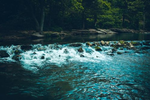 A serene river scene with gentle rapids and lush green trees along the banks.