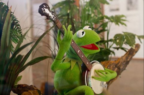 A green puppet playing a banjo, surrounded by lush greenery and natural elements.