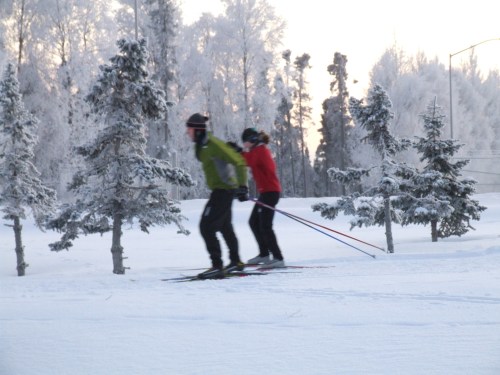 Two skiers glide through a snowy landscape, surrounded by frosted trees under a pale winter sky.
