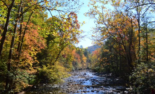 A serene river flows through a vibrant forest with colorful autumn leaves under a clear blue sky.