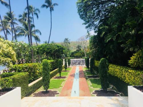 Lush garden pathway with manicured hedges, palm trees, and a fountain under a clear blue sky.