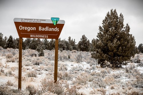 Sign for Oregon Badlands Wilderness, surrounded by snow-covered shrubs and trees in a winter landscape.