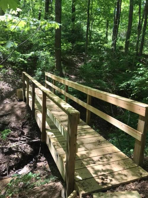 A wooden bridge spans a small creek in a lush, green forest, surrounded by trees and foliage.