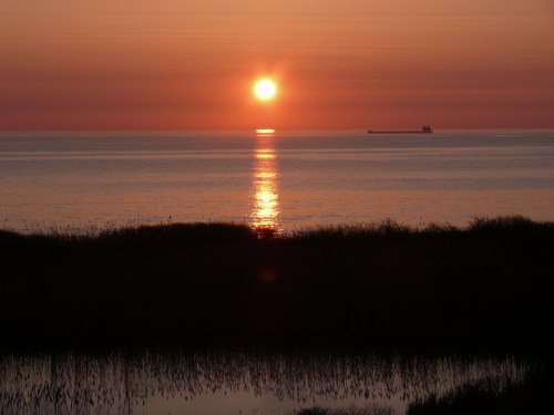 A serene sunset over calm waters, with a ship silhouetted on the horizon and reeds in the foreground.