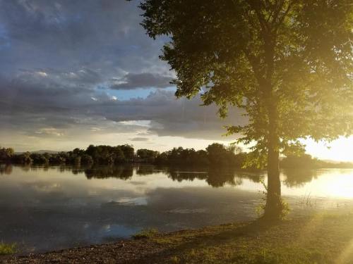 A serene lakeside scene at sunset, featuring a tree and reflections on the water under a cloudy sky.