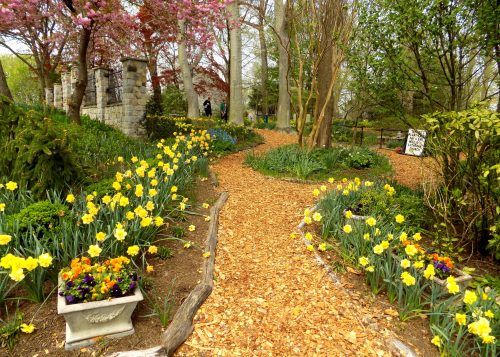 A winding garden path lined with yellow flowers and greenery, leading through a serene landscape with trees and stone features.