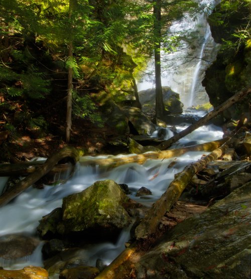 A serene forest scene with a flowing stream, moss-covered rocks, and a waterfall in the background, surrounded by lush greenery.