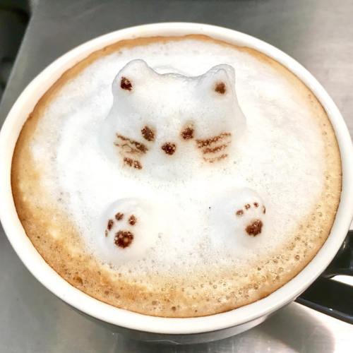 A cup of coffee topped with frothy milk art shaped like a cute cat, complete with whiskers and paw prints.