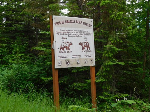 Sign warning about grizzly and black bear habitat, with safety tips for hunters and campers in a forested area.