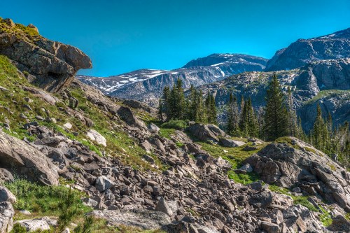 A rocky landscape with scattered boulders, lush greenery, and snow-capped mountains under a clear blue sky.