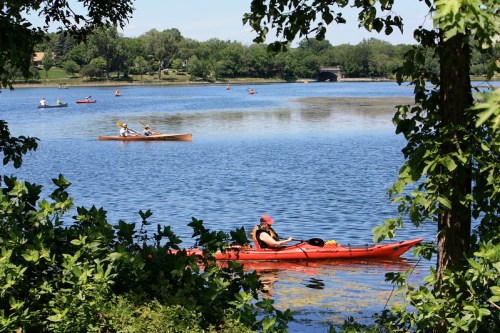 A serene lake scene with kayakers paddling among lush greenery and clear blue water on a sunny day.