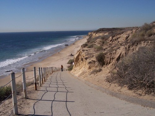 A sandy beach with gentle waves, viewed from a path leading down from a cliff, surrounded by sparse vegetation.