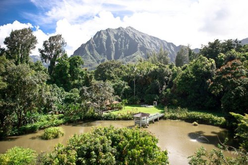 Lush green landscape with a pond, surrounded by trees and mountains under a bright blue sky.