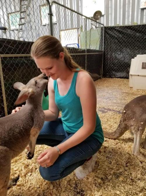 A woman kneels in a pen, interacting with a kangaroo that is nuzzling her face, surrounded by other kangaroos.