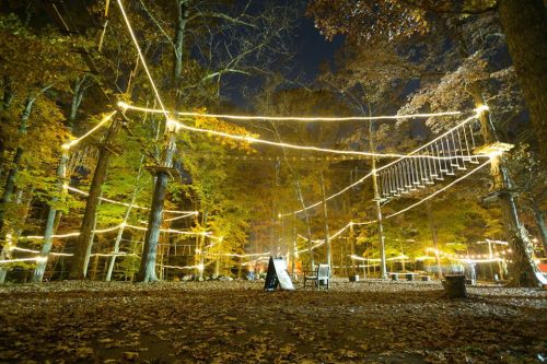 A forest at night illuminated by glowing lights strung between trees, surrounded by autumn foliage and fallen leaves.