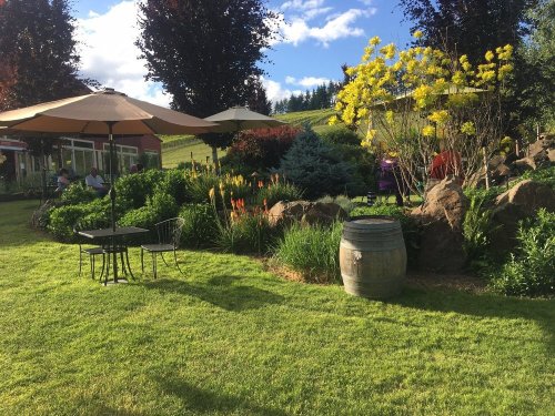 A sunny garden with colorful flowers, a wooden barrel, and outdoor seating under umbrellas. Lush greenery surrounds the area.