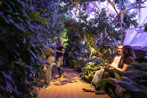 A couple sits on a bench in a lush, illuminated greenhouse, surrounded by vibrant plants and visitors walking by.