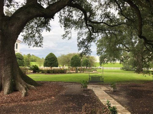 A serene garden scene featuring lush greenery, trimmed bushes, and a swing under a large tree.