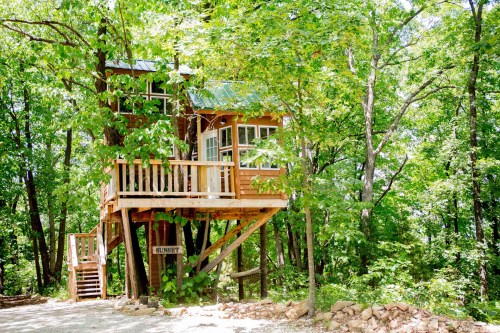 A wooden treehouse nestled among lush green trees, featuring a porch and a sign that reads "Sunset."