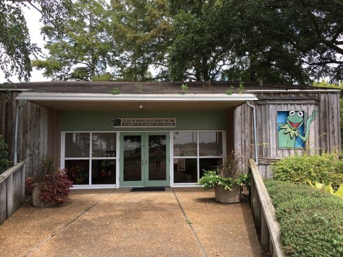 A wooden building with a green door and a Kermit the Frog mural on the side, surrounded by trees and planters.