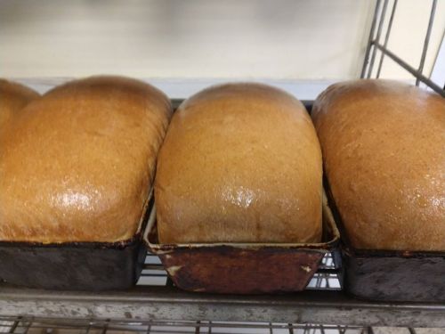 Three freshly baked loaves of brown bread cooling on a wire rack.