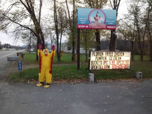A person in a chicken costume stands by a roadside sign for Florida Fried Chicken, advertising ice cream and hours.