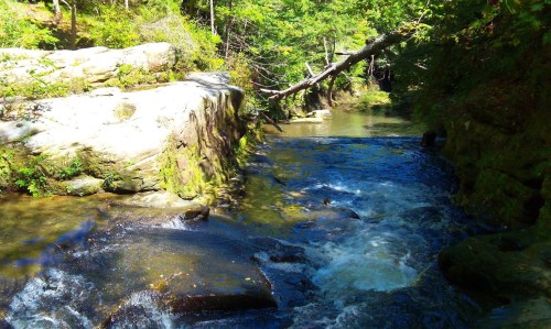 A serene stream flows between rocky banks, surrounded by lush green trees and sunlight filtering through the leaves.