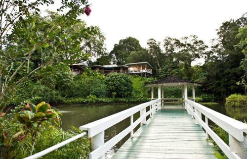 A wooden walkway leads to a gazebo by a serene pond, surrounded by lush greenery and trees.