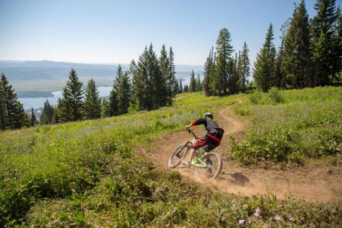 A mountain biker navigates a dirt trail surrounded by trees, with a scenic view of a lake and mountains in the background.