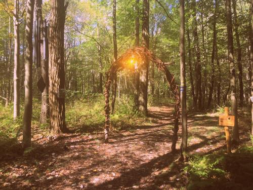 A wooded path leads through trees, featuring a rustic arch made of branches and a wooden signpost nearby.