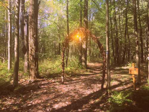 A wooded path leads through trees, featuring a rustic arch made of branches and a wooden signpost nearby.