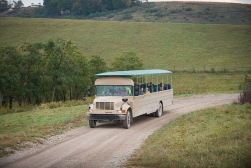 A tour bus drives along a gravel path through a green landscape with rolling hills in the background.