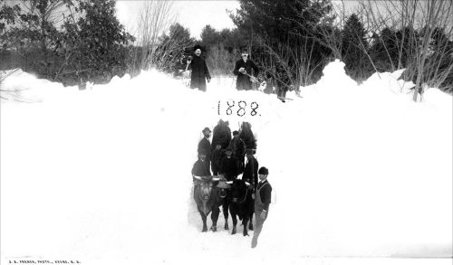 Historic photo of a snow-covered road after the 1888 storm, with people and horses clearing a path.
