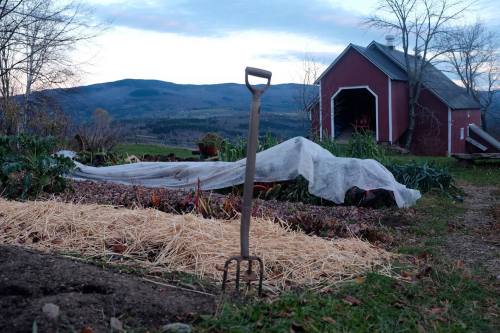 A garden scene with a pitchfork in the foreground, a red barn, and mountains in the background under a cloudy sky.