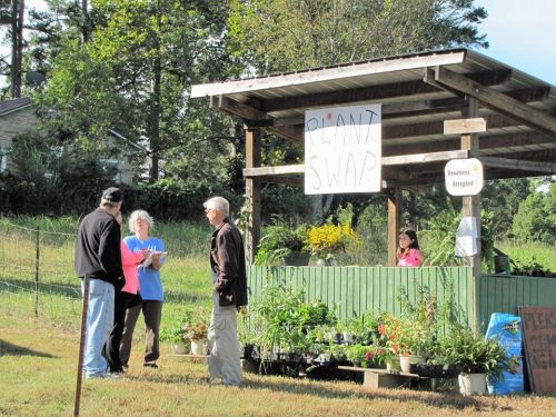 A community plant swap event with people chatting near a booth displaying various plants and a large sign that reads "PLANT SWAP."