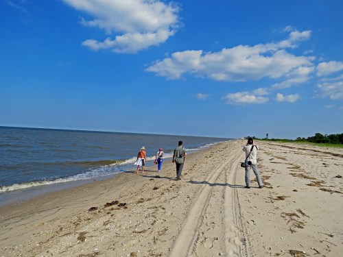 Three people walk along a sandy beach beside calm waters under a blue sky with scattered clouds.