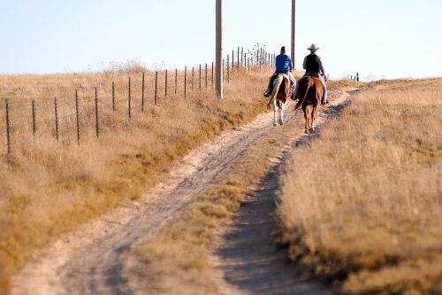 Two riders on horseback travel down a dirt path lined with a fence, surrounded by golden grass under a clear sky.