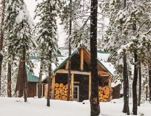 A cozy cabin surrounded by snow-covered trees, with stacked logs beside it, creating a serene winter scene.