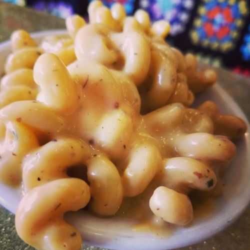 A close-up of creamy, spiral-shaped pasta in a small white dish, garnished with herbs.