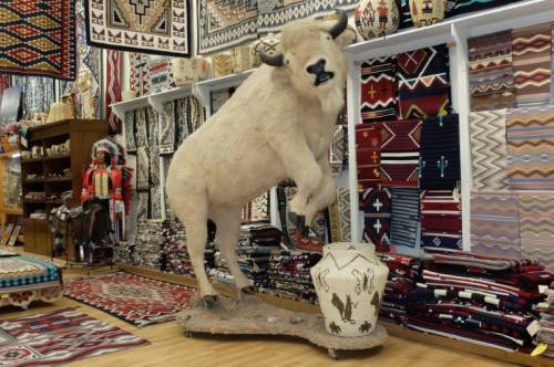 A mounted bison stands on display in a shop filled with colorful textiles and Native American decor.