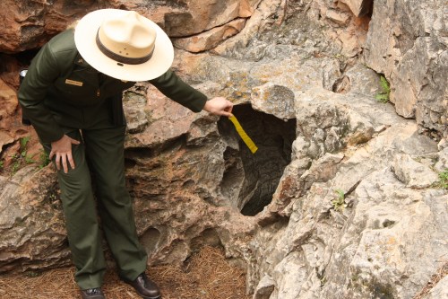 A park ranger examines a rock formation with a measuring tape, highlighting a unique geological feature.