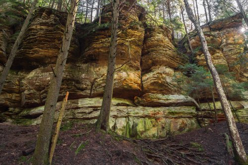 Rocky cliff face surrounded by tall trees in a forested area, with moss and greenery on the rocks.