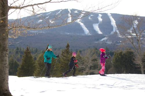 Three people snowshoeing in a snowy landscape with a mountain in the background and trees surrounding them.