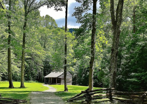 A rustic cabin surrounded by lush green trees and a winding path in a serene forest setting.