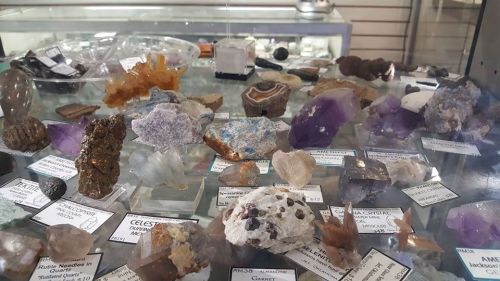 A display case filled with various colorful crystals and minerals, each labeled with names and prices.