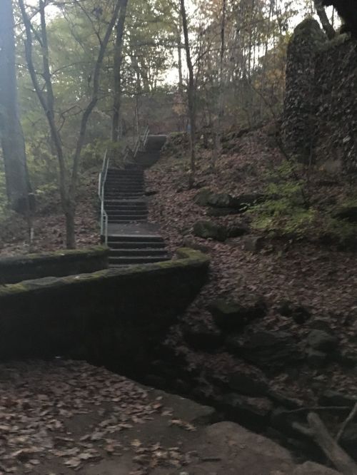 A winding staircase leads up through a wooded area, surrounded by rocks and fallen leaves.